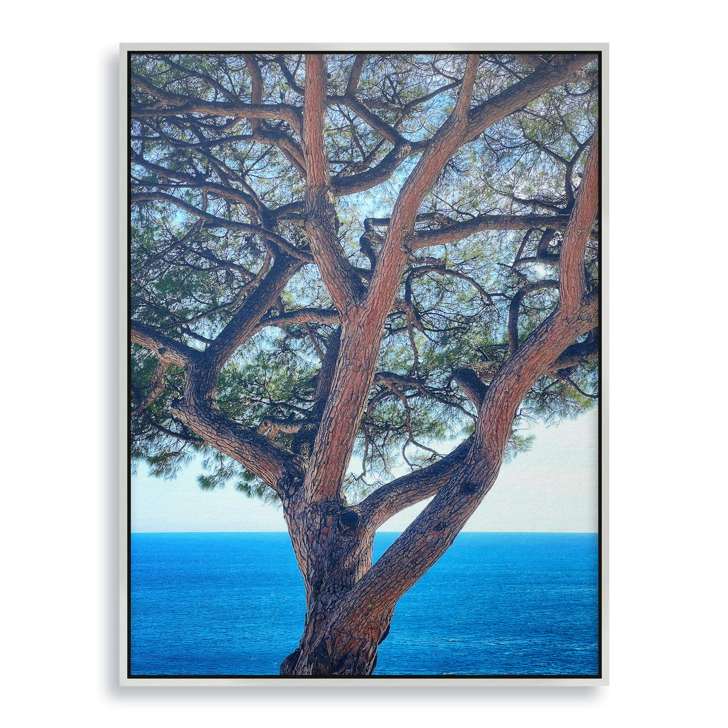 The Sentinel - Fine Art Print in Floating Frame