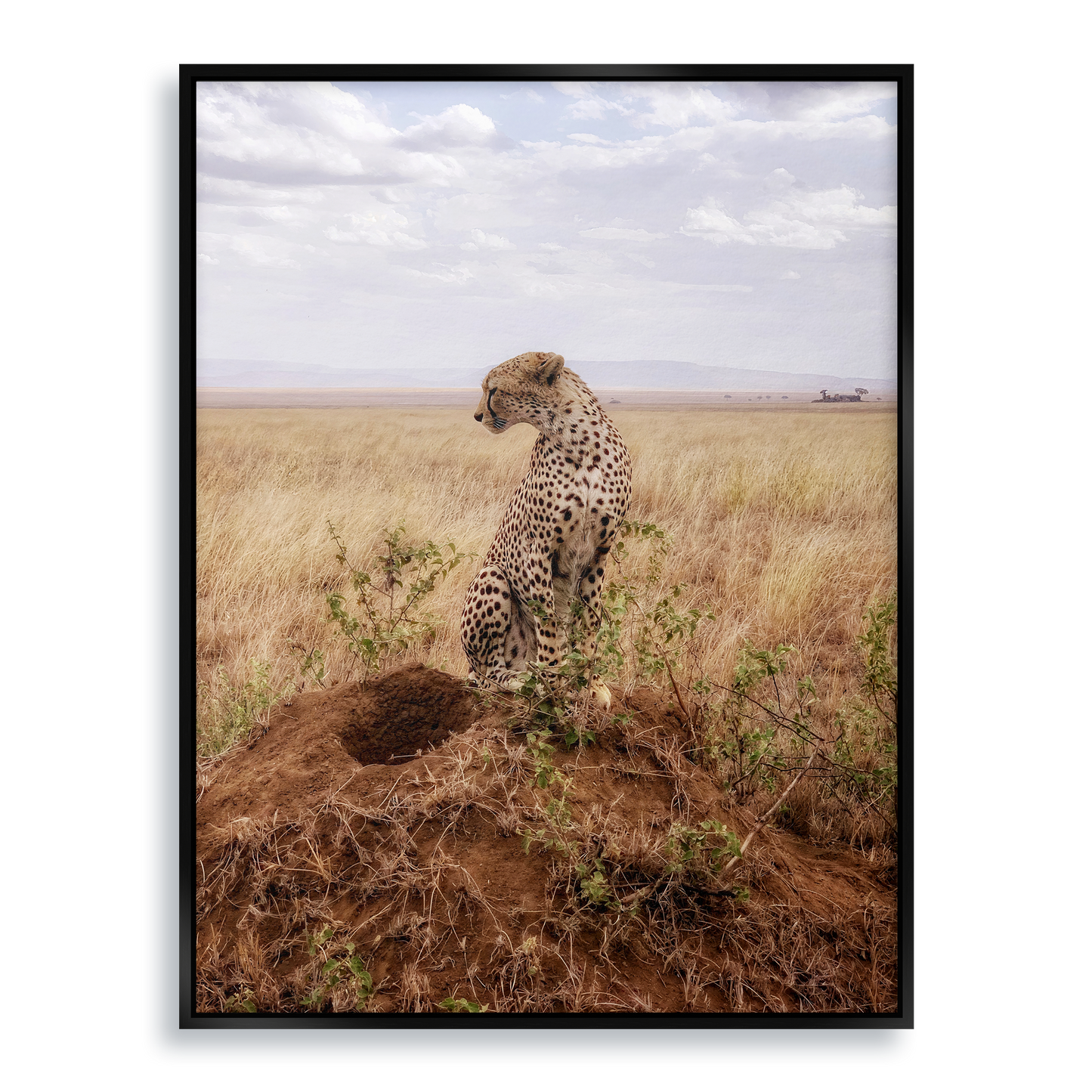 Cruel Suitor - Fine Art Print in Floating Frame