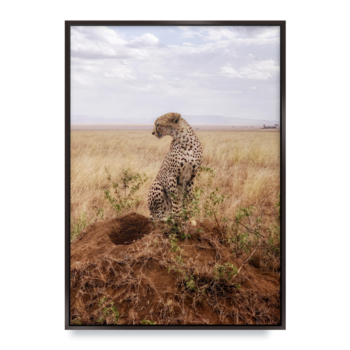 Cruel Suitor - Fine Art Print in Floating Frame