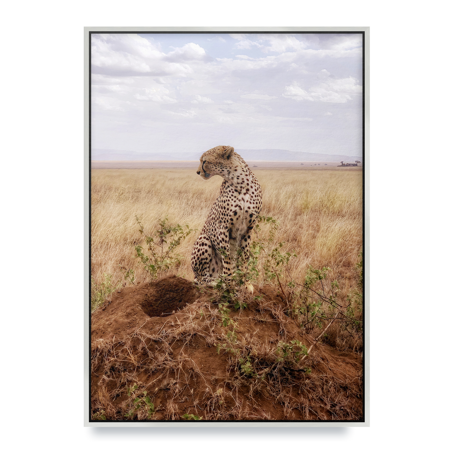 Cruel Suitor - Fine Art Print in Floating Frame