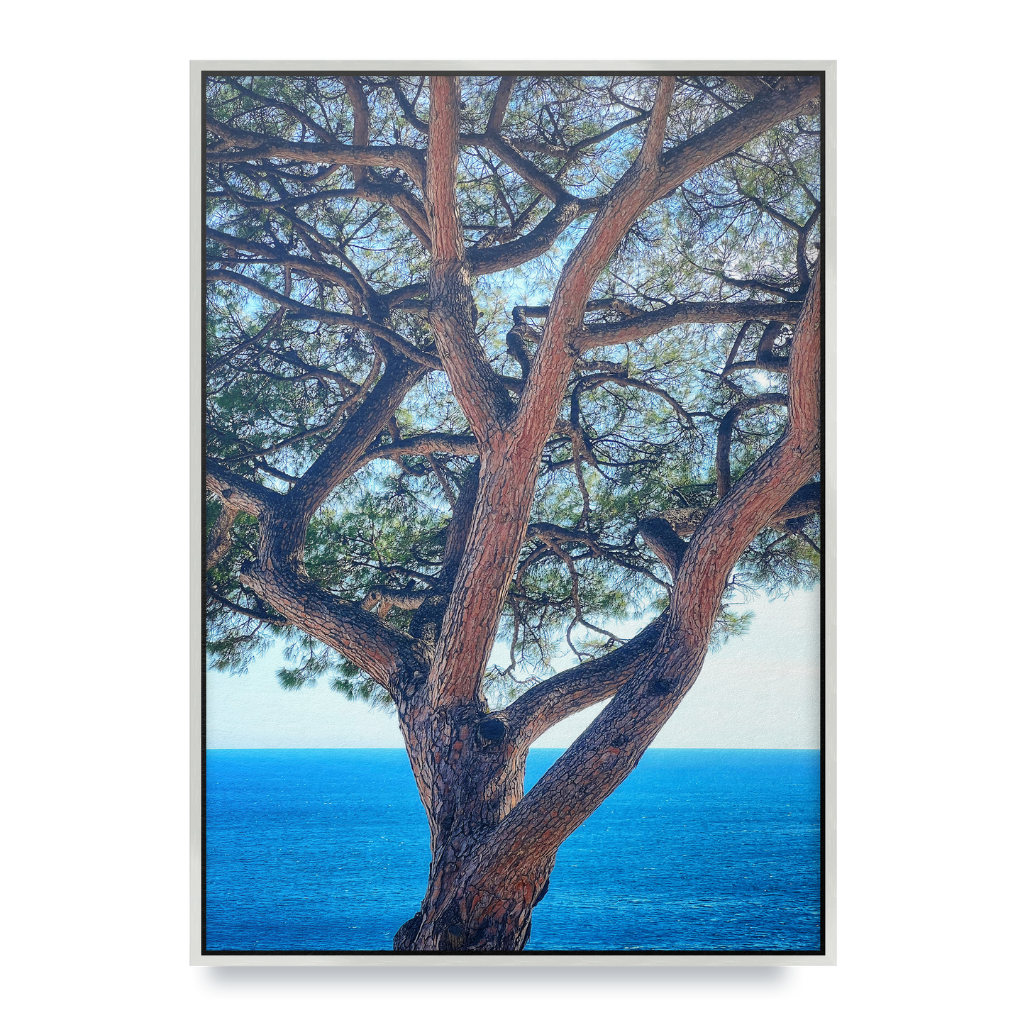 The Sentinel - Fine Art Print in Floating Frame