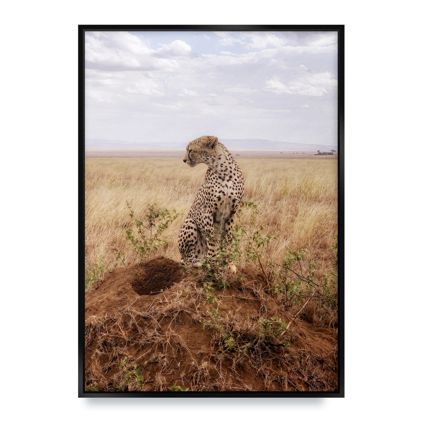 Cruel Suitor - Fine Art Print in Floating Frame