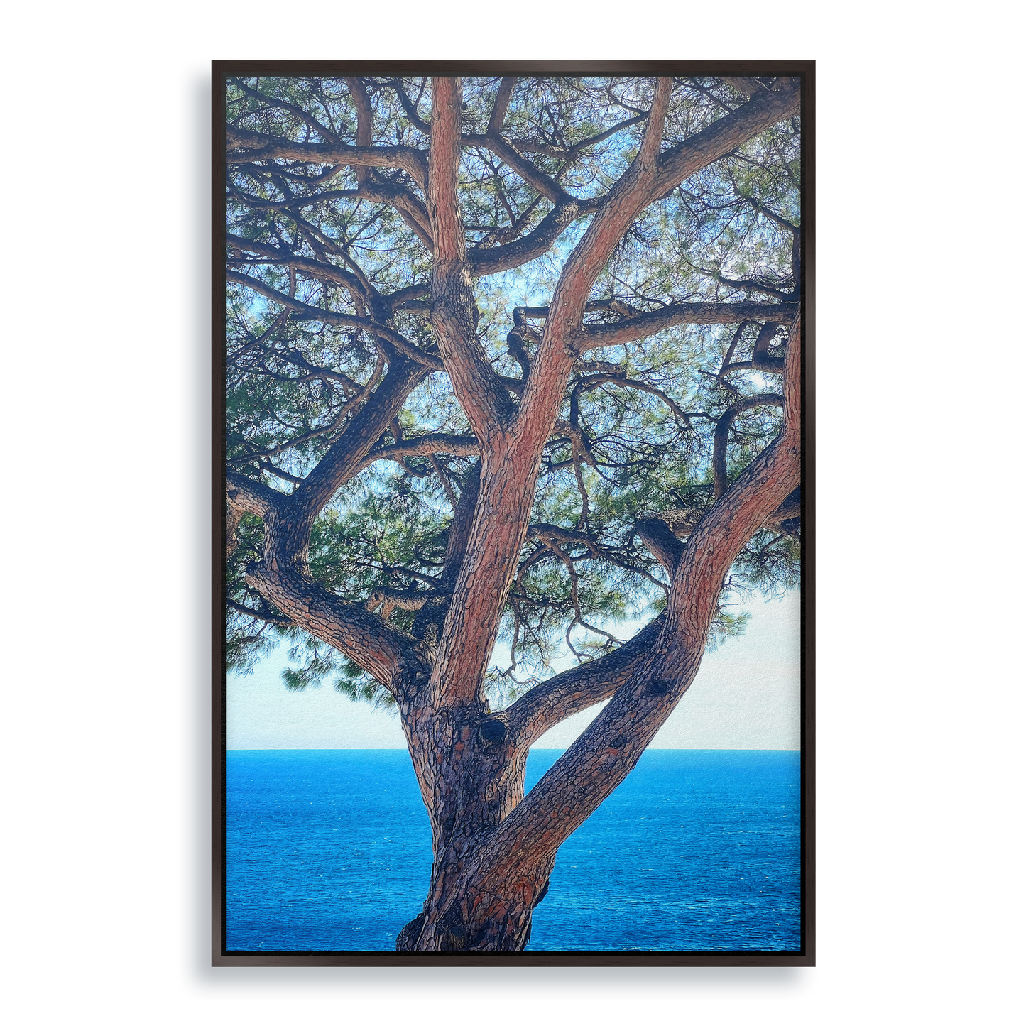 The Sentinel - Fine Art Print in Floating Frame
