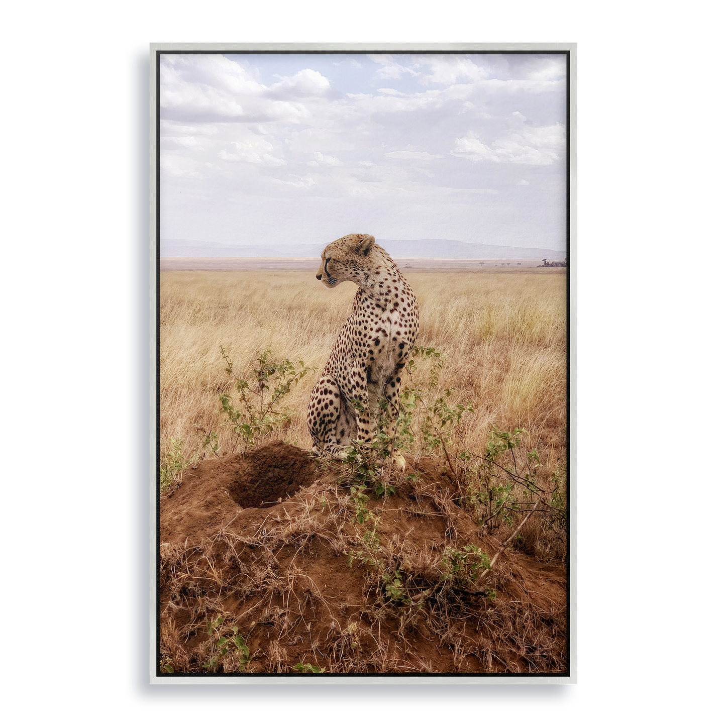 Cruel Suitor - Fine Art Print in Floating Frame