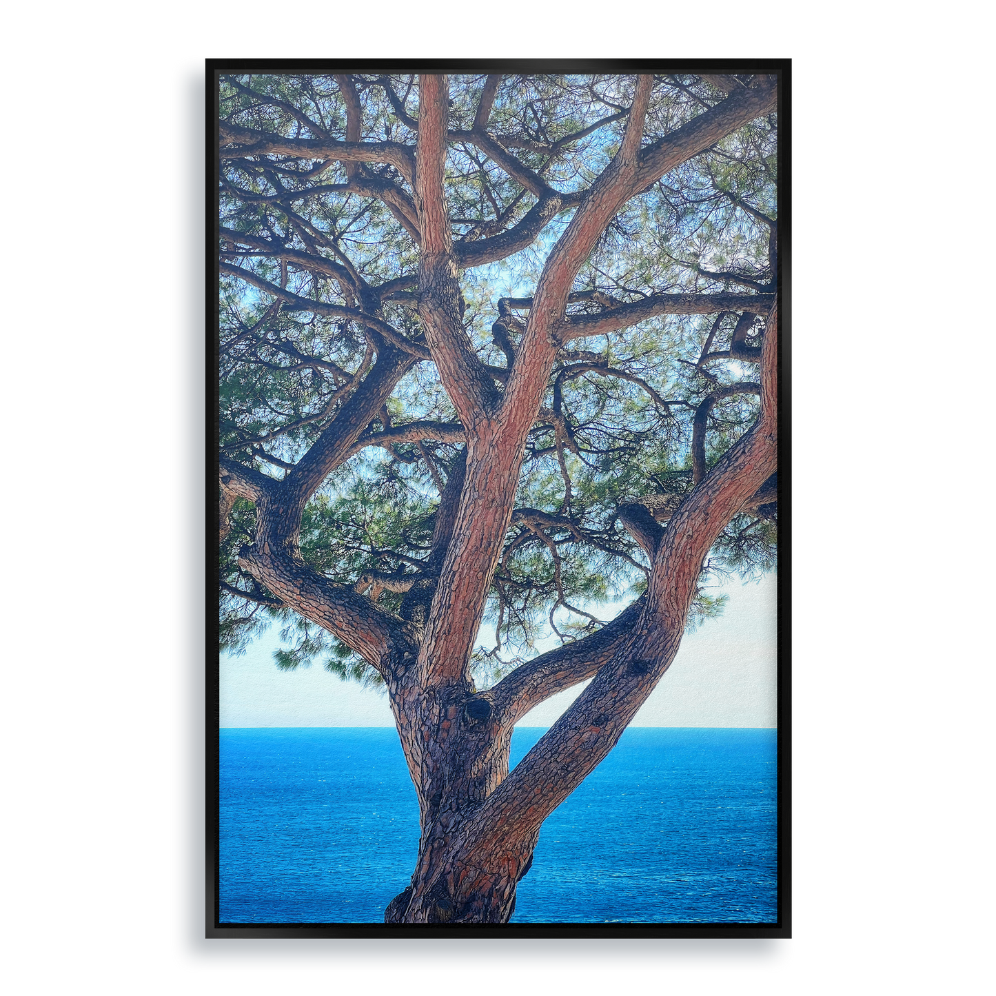 The Sentinel - Fine Art Print in Floating Frame