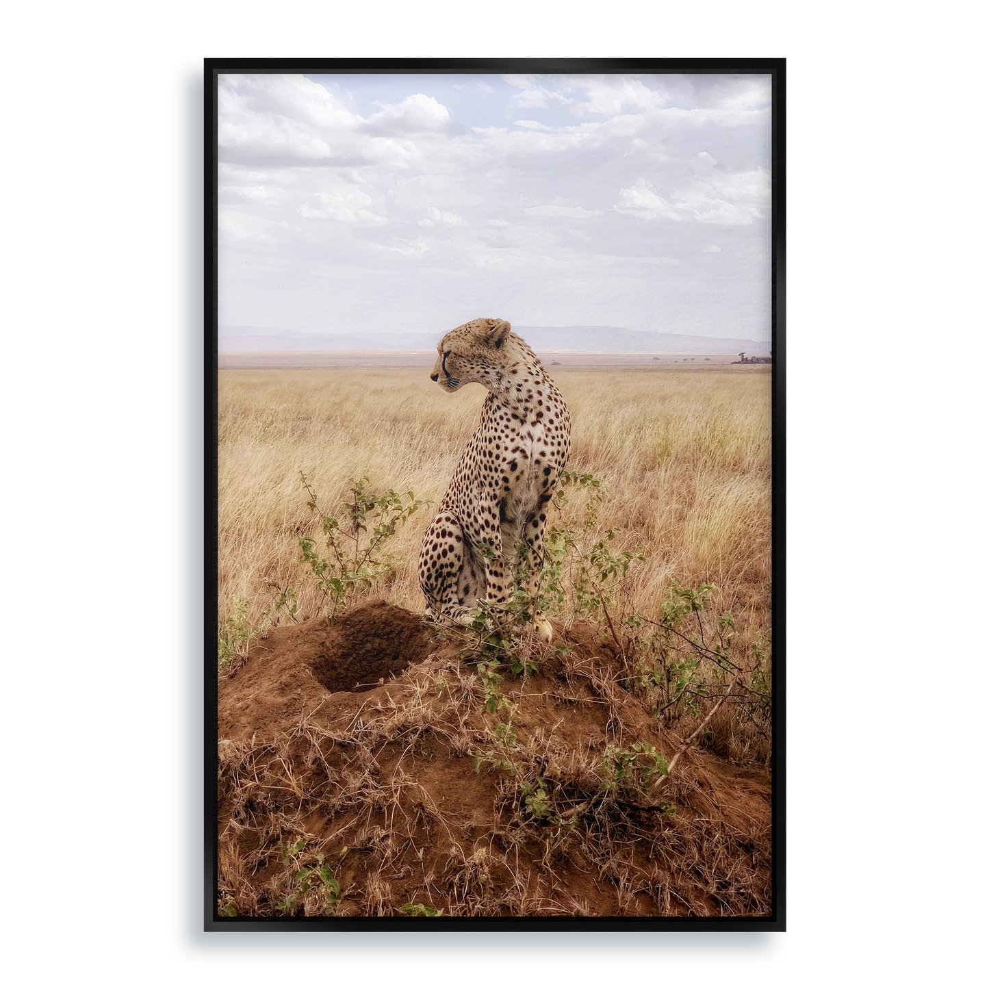 Cruel Suitor - Fine Art Print in Floating Frame