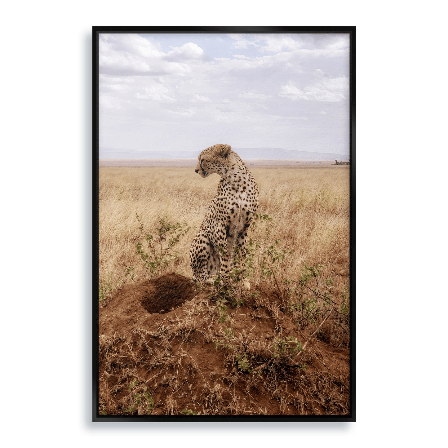 Cruel Suitor - Fine Art Print in Floating Frame - THE WORLD by Mr Fun