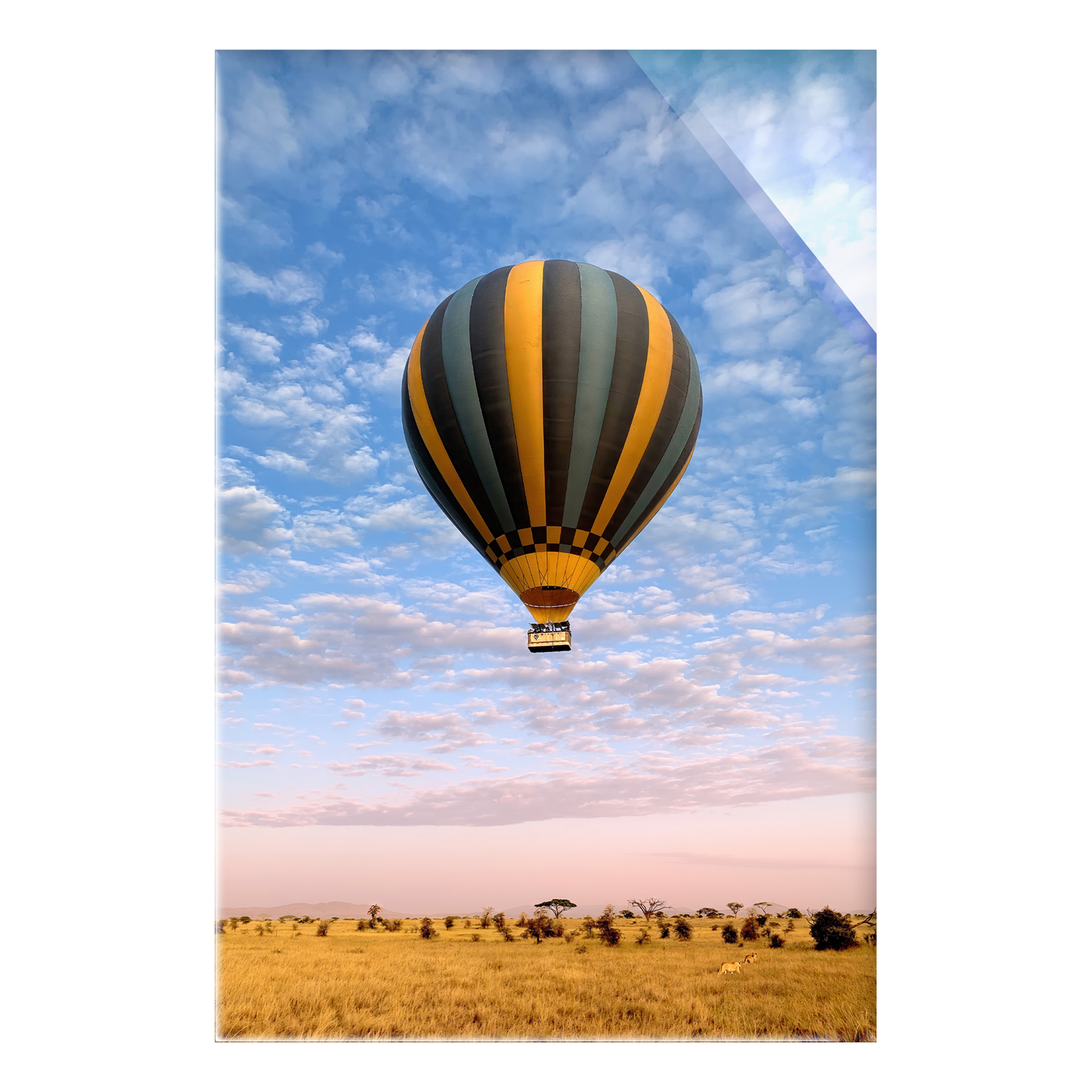 The Weightless and the Wild - Acrylic Print
