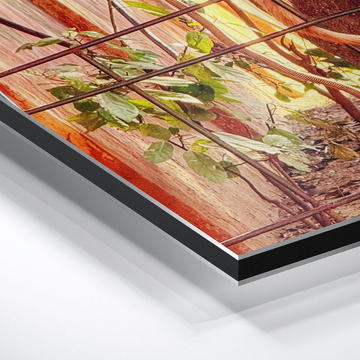 Oh, to Be a Monkey! - Aluminium Dibond Print