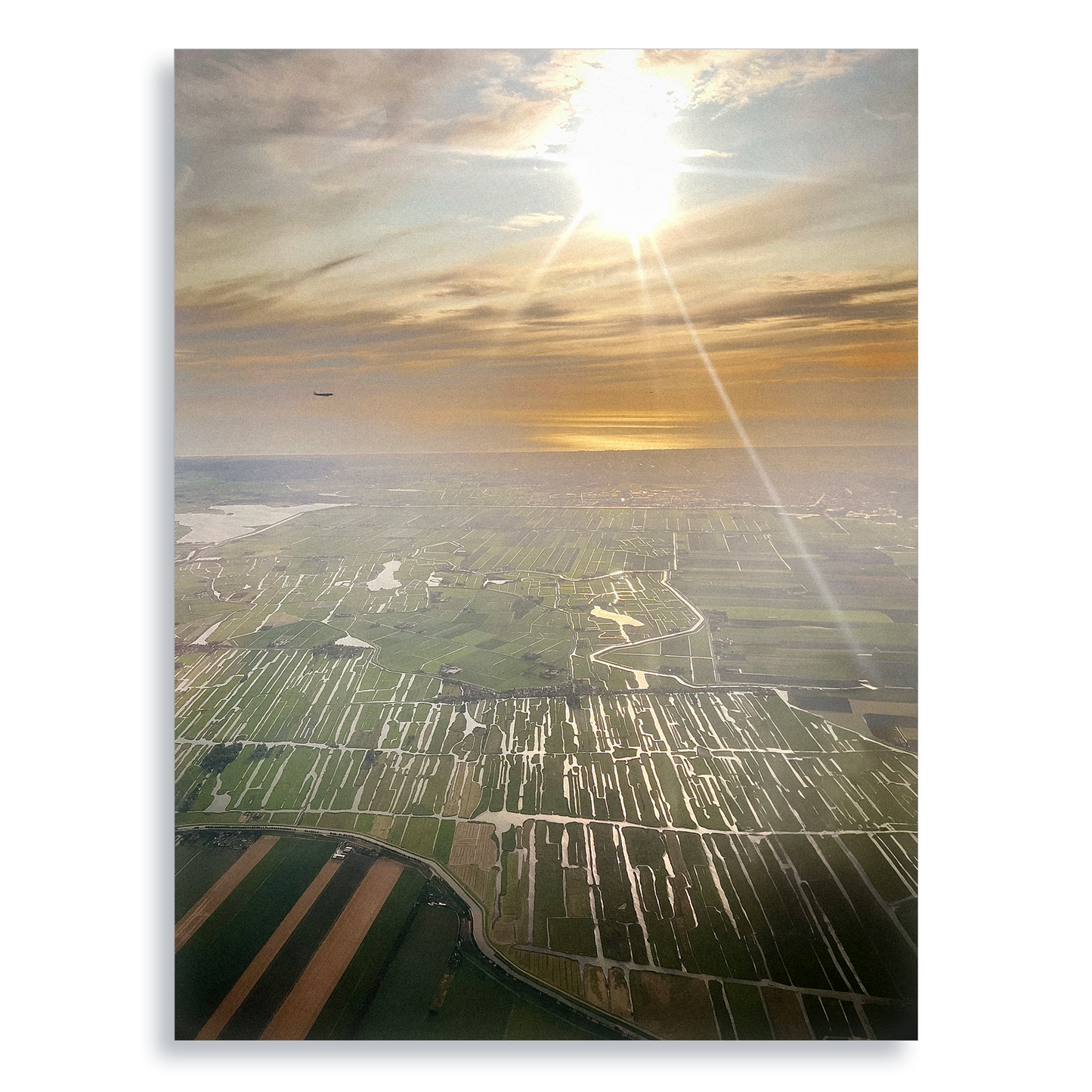 Coming Home - Aluminium Dibond Print