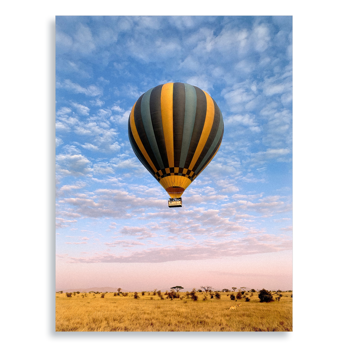 The Weightless and the Wild - Aluminium Dibond Print