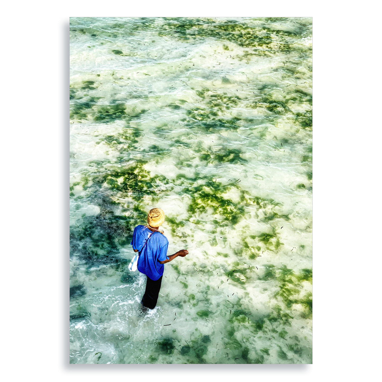 Gifts of The Tide - Aluminium Dibond Print
