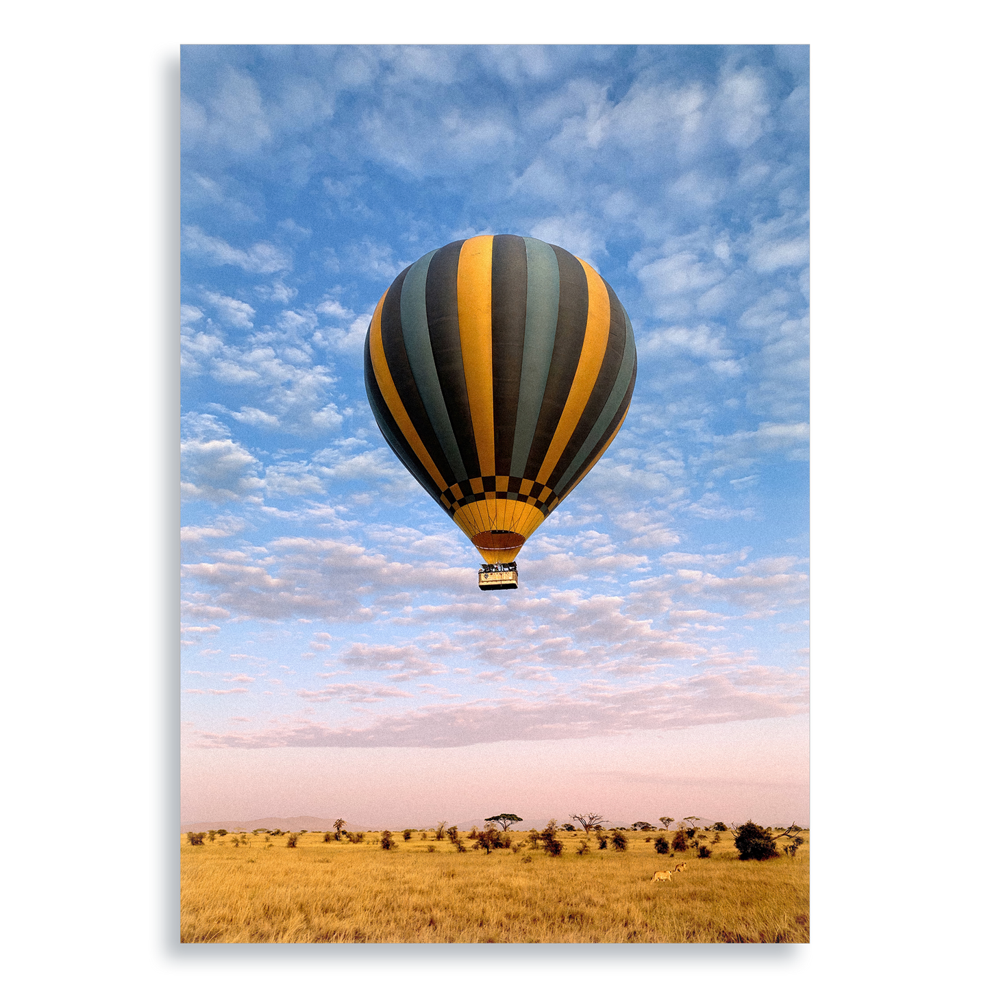 The Weightless and the Wild - Aluminium Dibond Print
