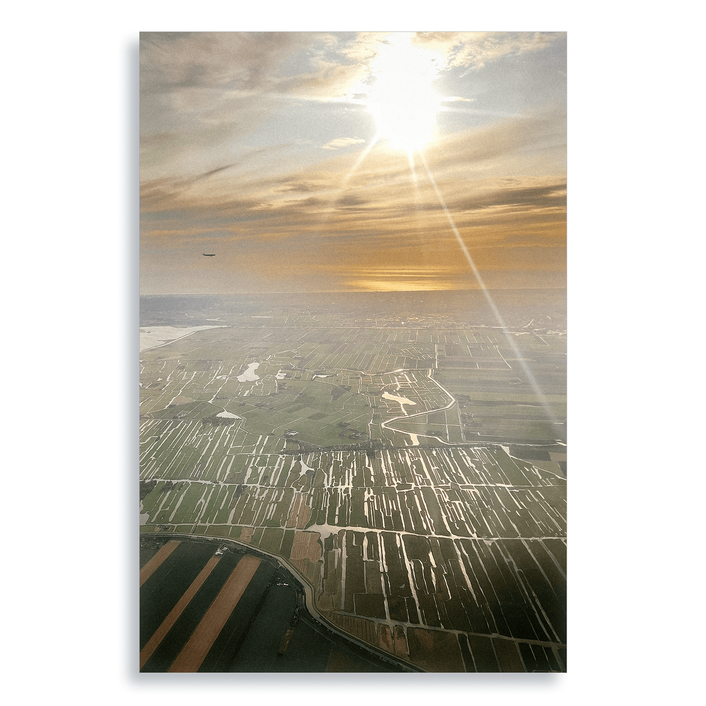 Coming Home - Aluminium Dibond Print - THE WORLD by Mr Fun