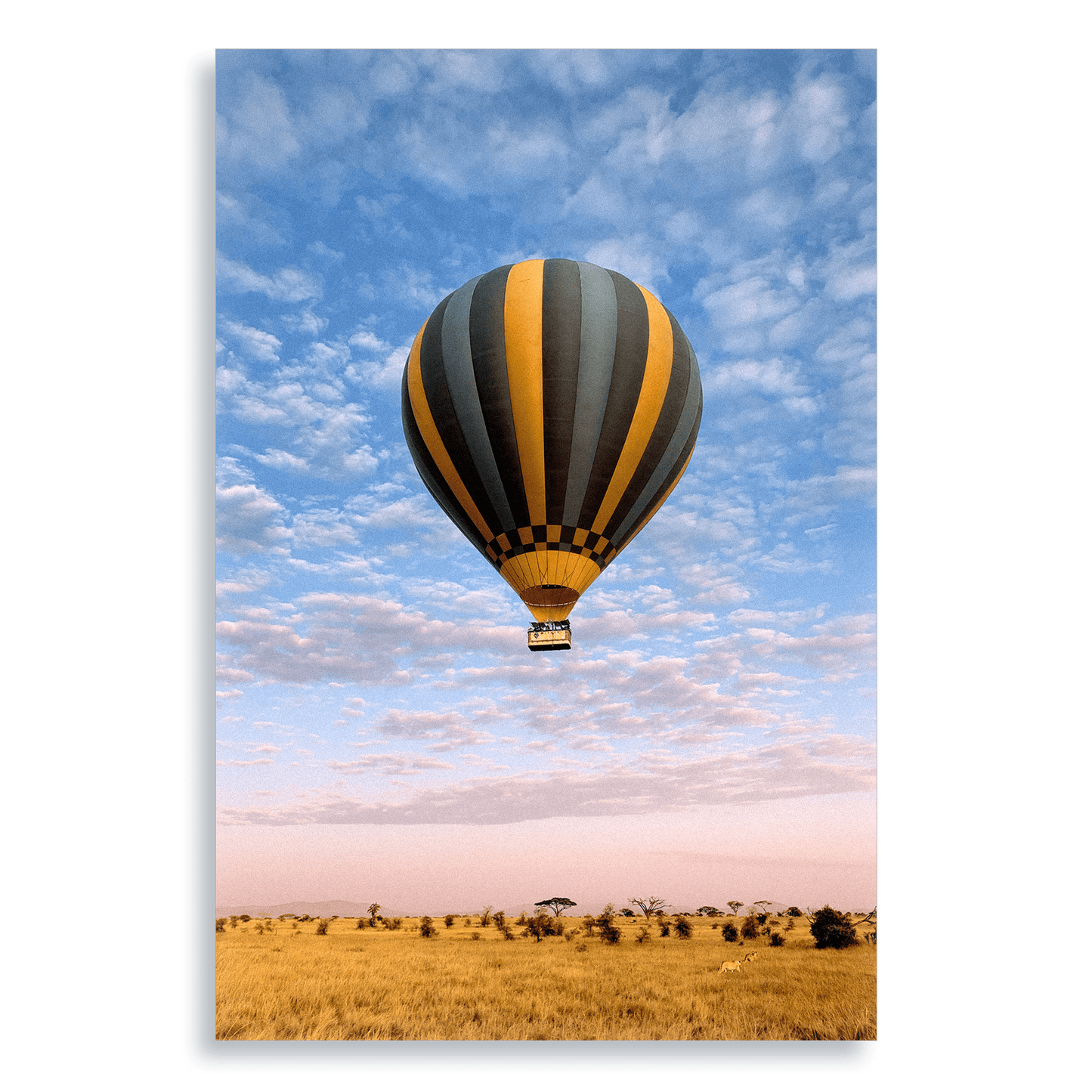 The Weightless and the Wild - Aluminium Dibond Print - THE WORLD by Mr Fun