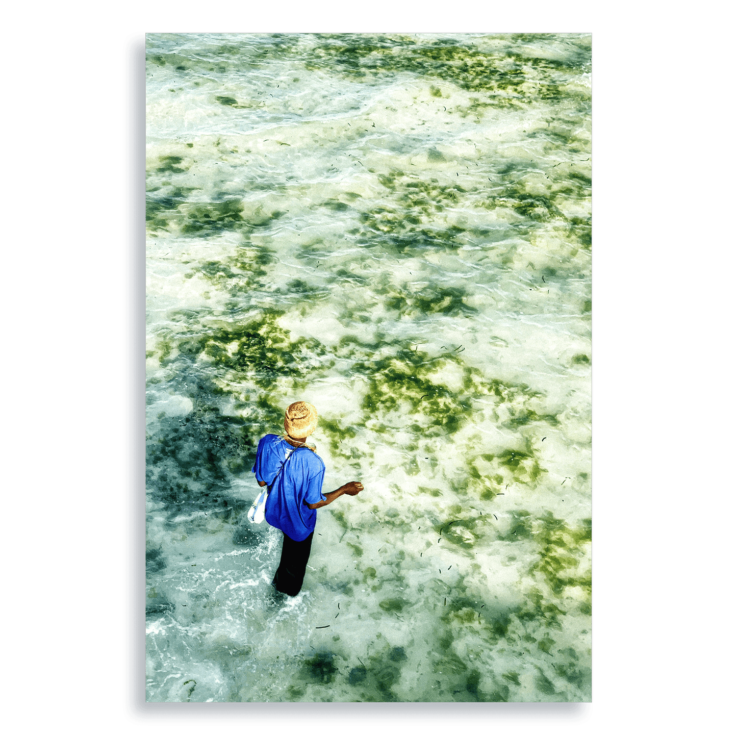 Gifts of The Tide - Aluminium Dibond Print - THE WORLD by Mr Fun