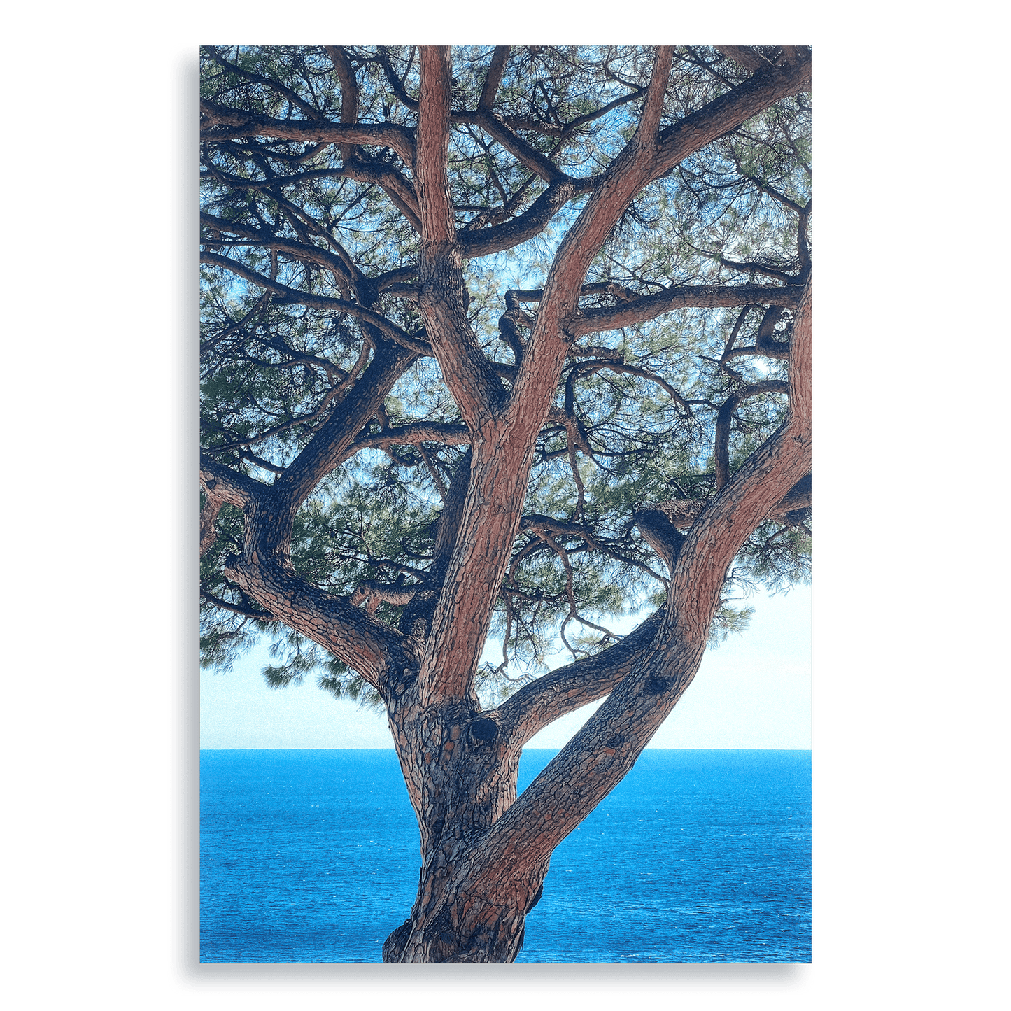 The Sentinel - Aluminium Dibond Print - THE WORLD by Mr Fun