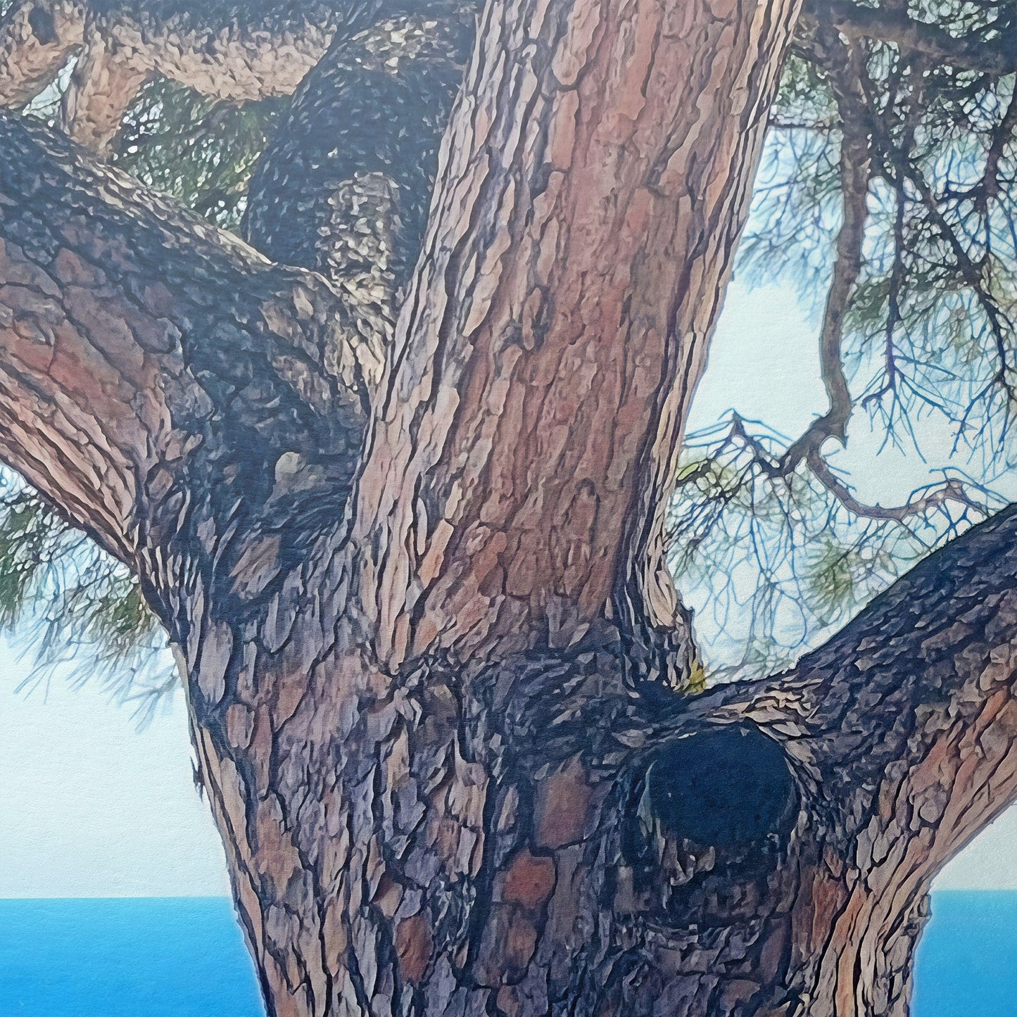 The Sentinel - Fine Art Print in Floating Frame