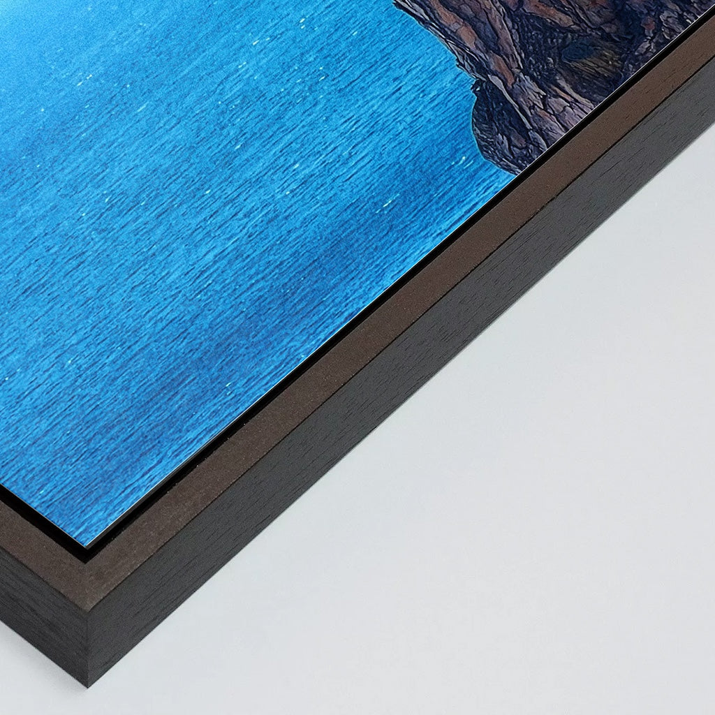 The Sentinel - Fine Art Print in Floating Frame