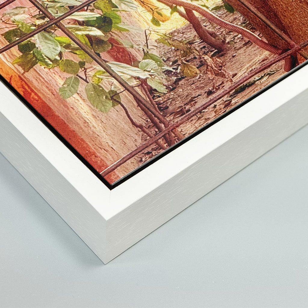 Oh, to Be a Monkey! - Fine Art Print in Floating Frame
