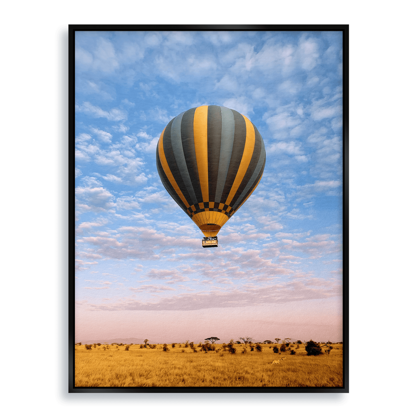 The Weightless and the Wild - Fine Art Print in Floating Frame - THE WORLD by Mr Fun