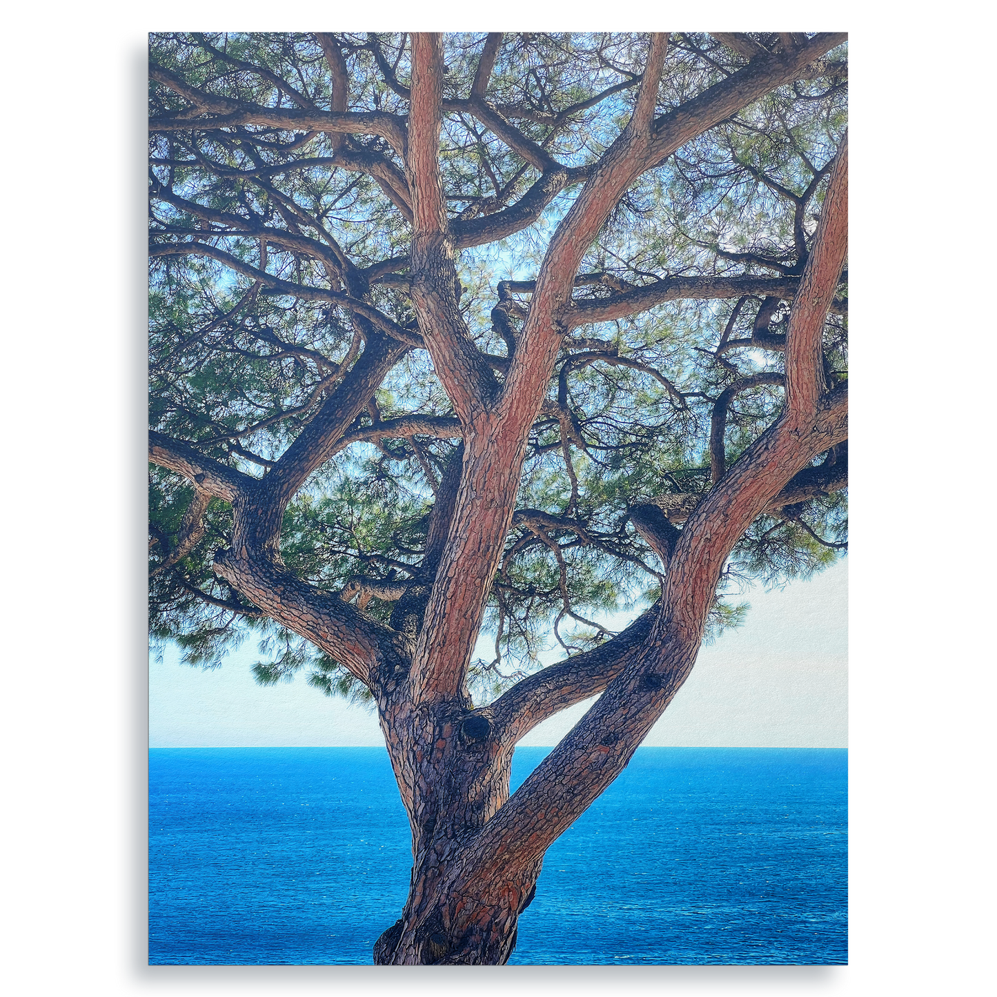 The Sentinel - Fine Art Print