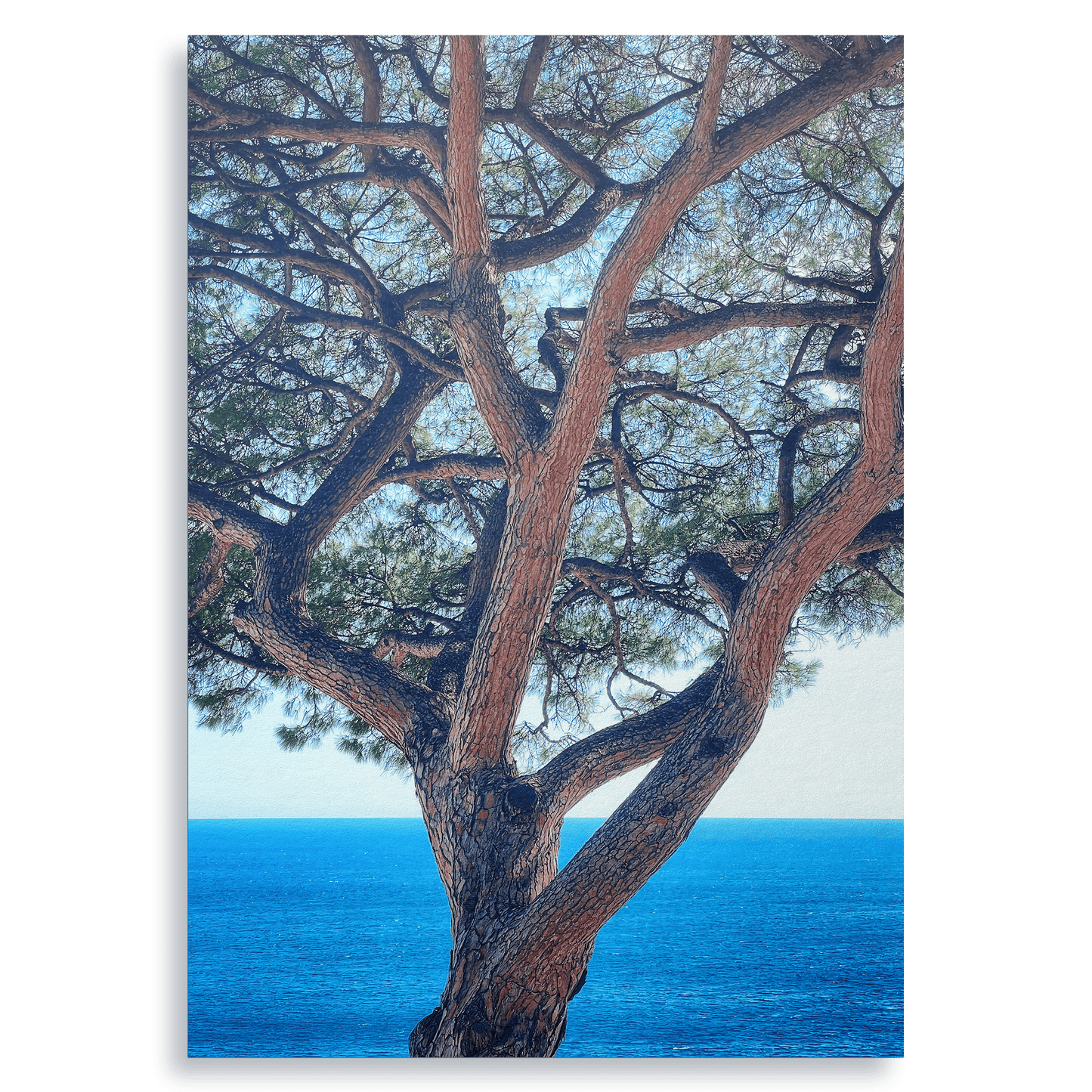 The Sentinel - Fine Art Print - THE WORLD by Mr Fun