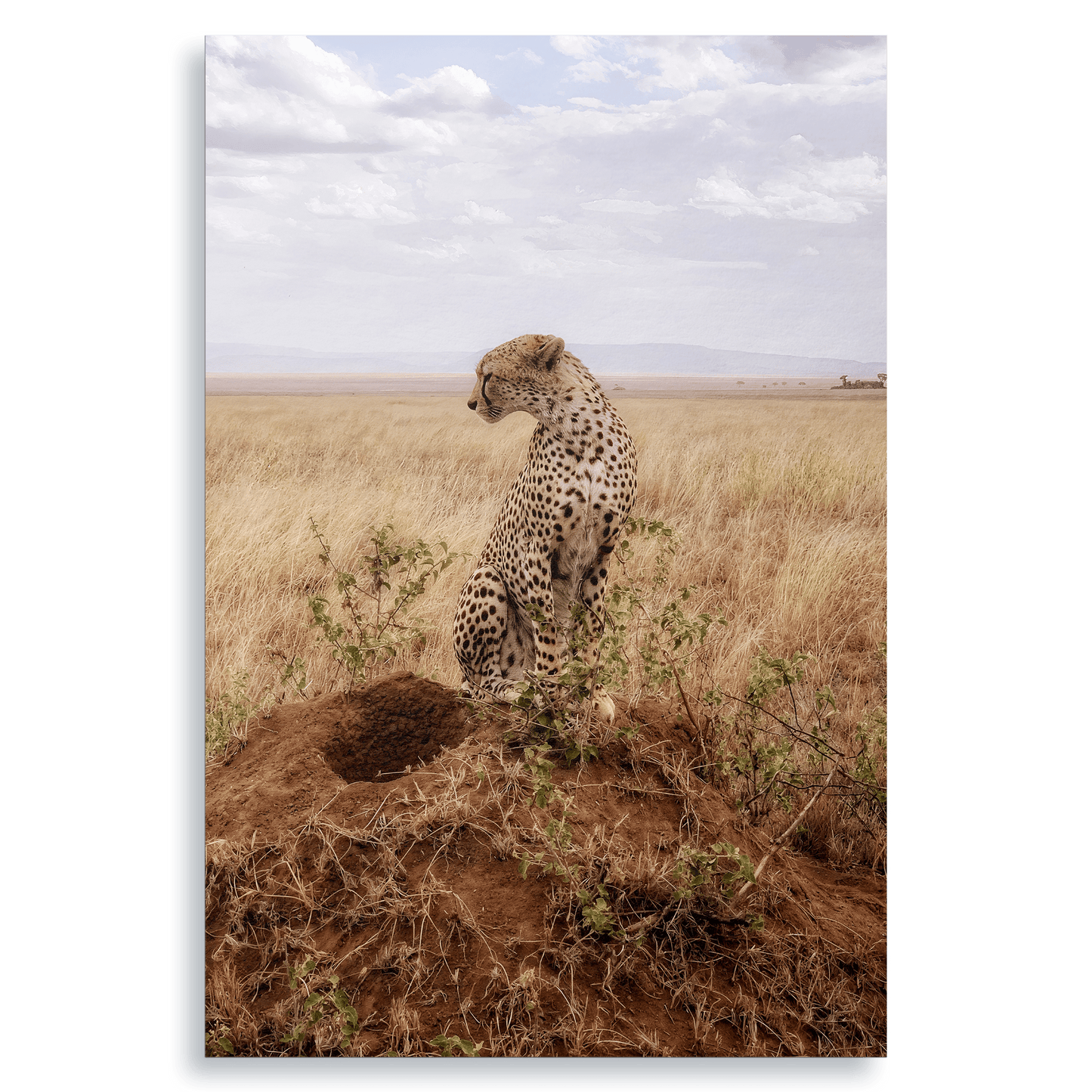 Cruel Suitor - Fine Art Print - THE WORLD by Mr Fun