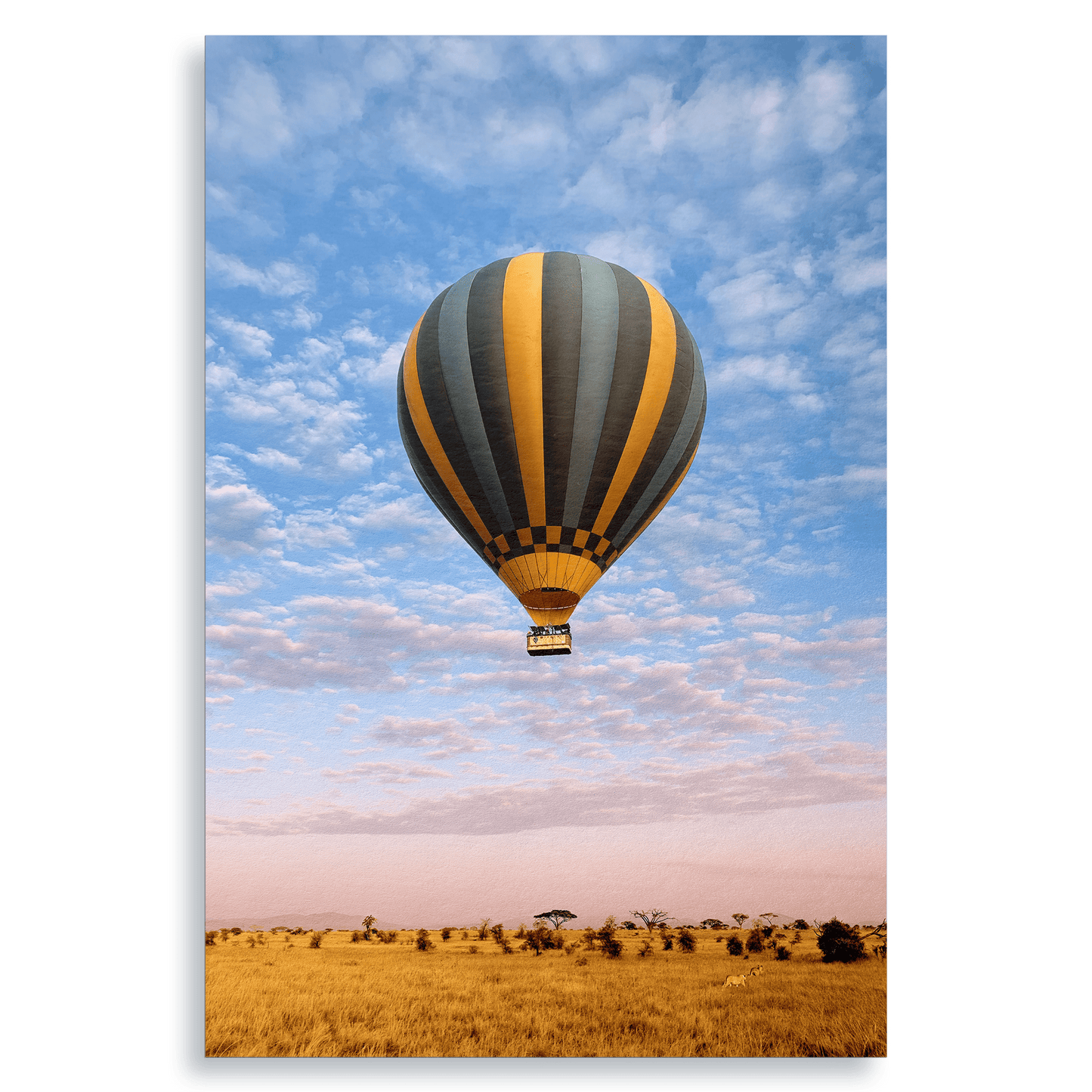 The Weightless and the Wild - Fine Art Print - THE WORLD by Mr Fun