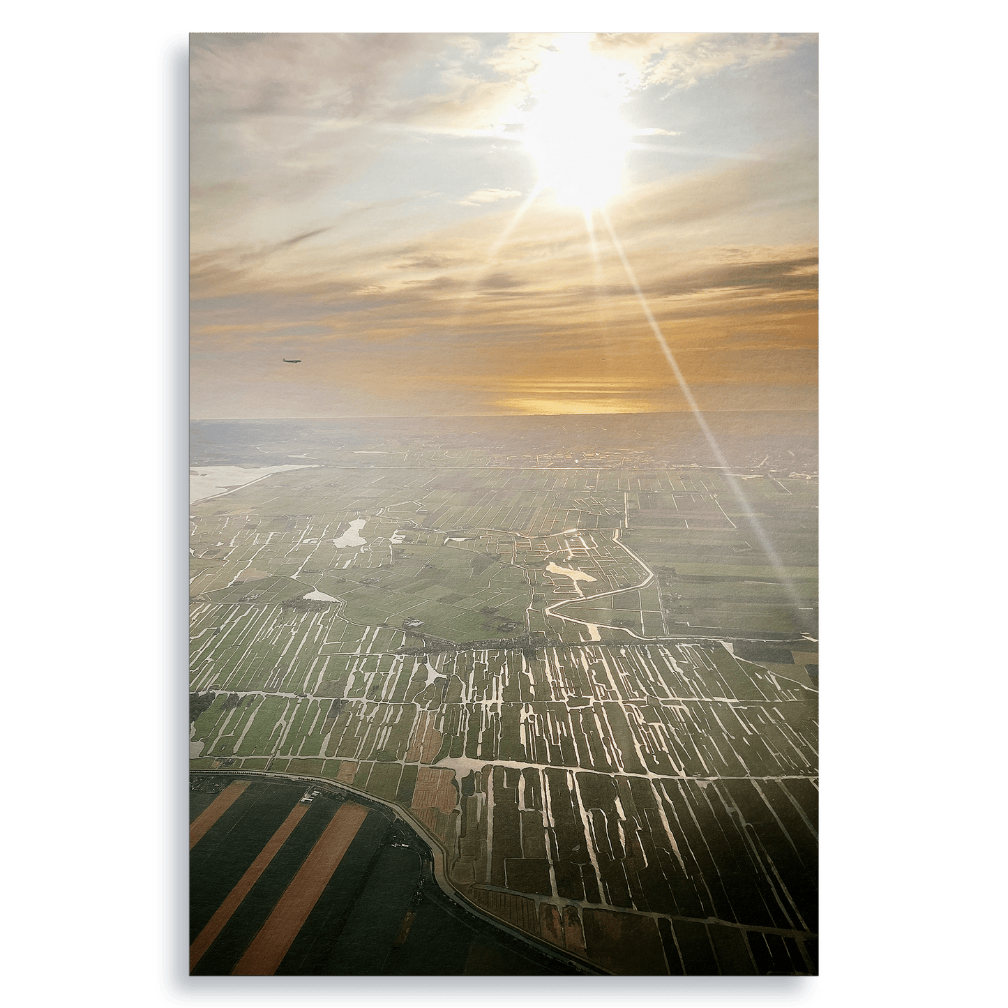 Coming Home - Fine Art Print on Hahnemühle Pearl Paper - THE WORLD by Mr Fun