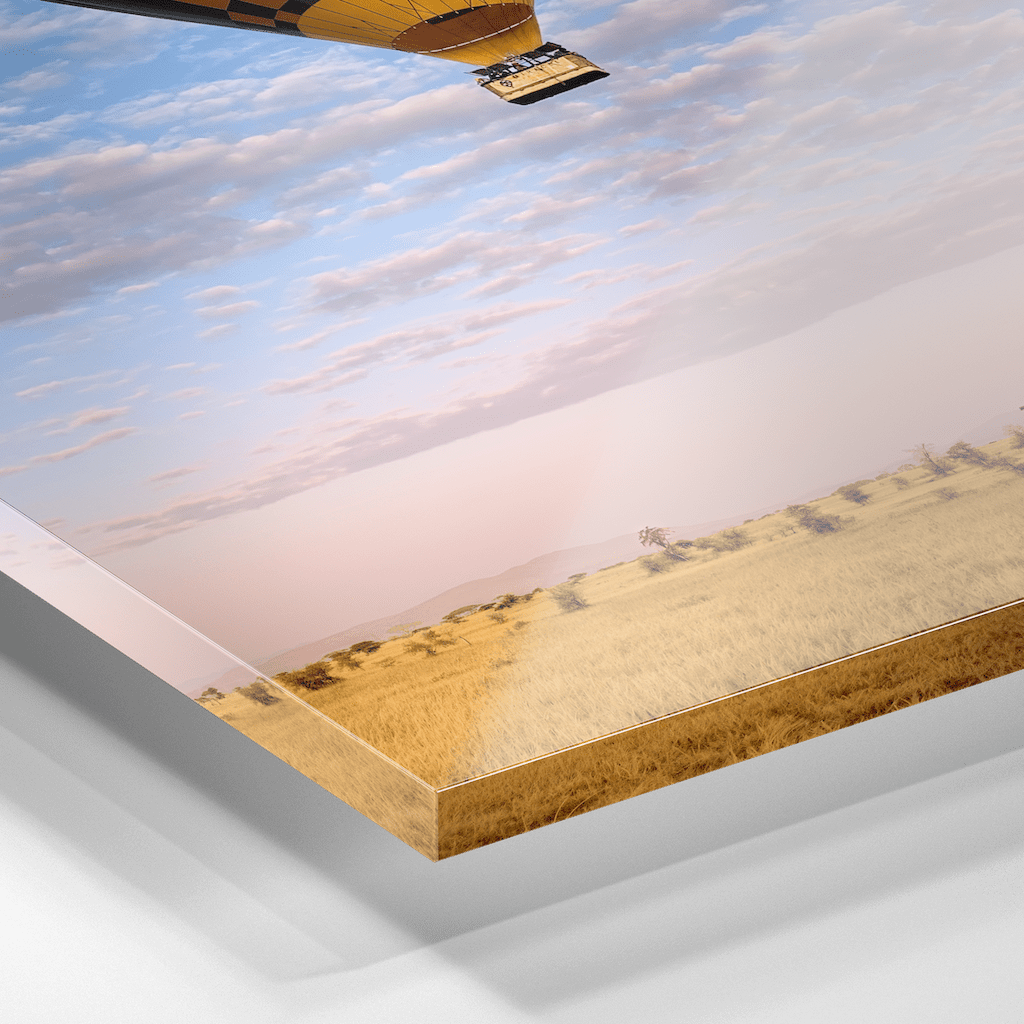 The Weightless and the Wild - Acrylic Print - THE WORLD by Mr Fun