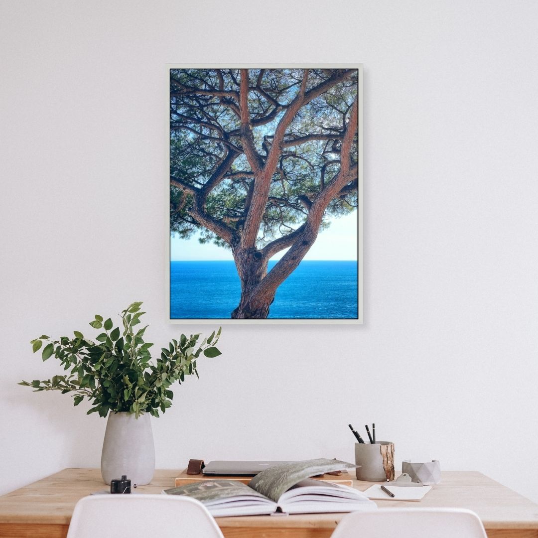 The Sentinel - Fine Art Print in Floating Frame