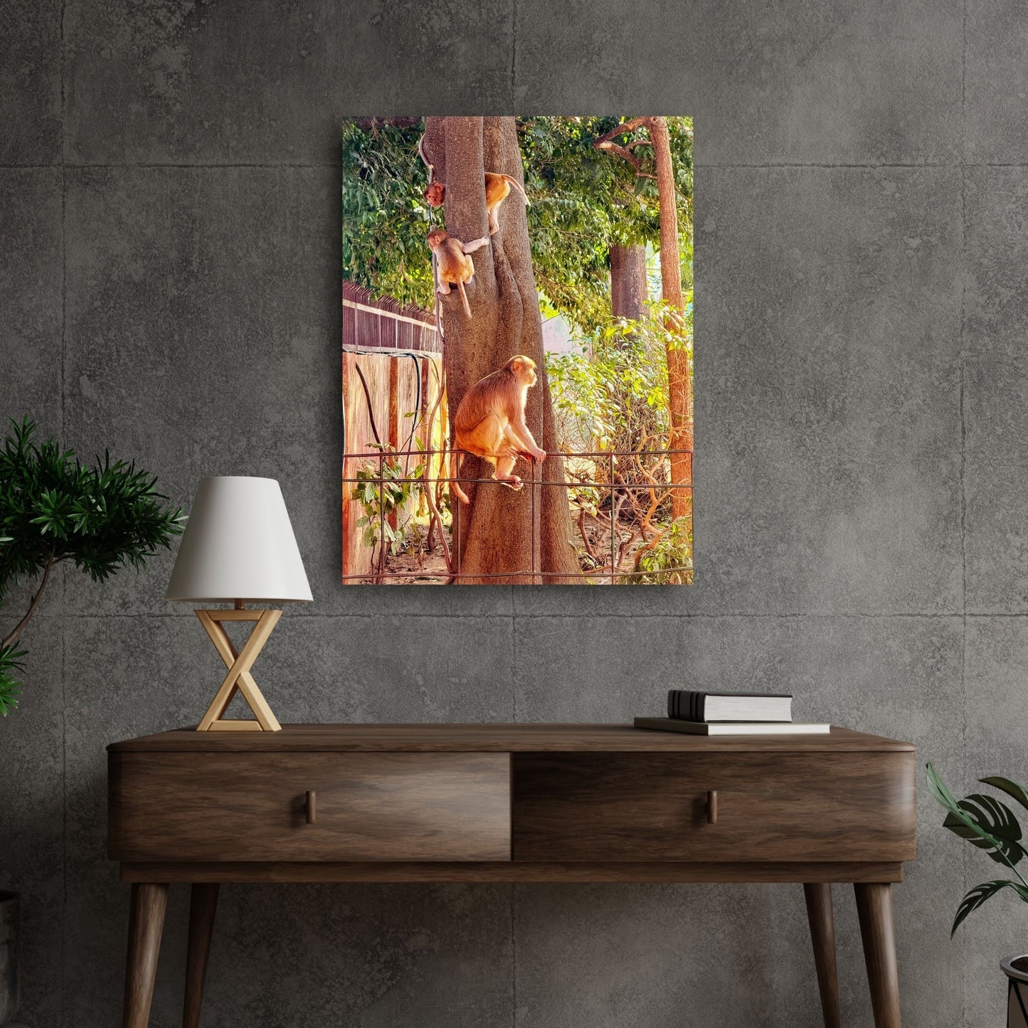 Oh, to Be a Monkey! - Aluminium Dibond Print