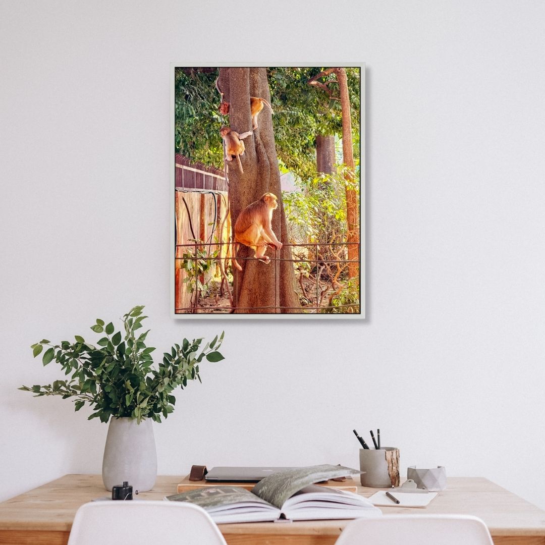Oh, to Be a Monkey! - Fine Art Print