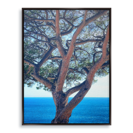 The Sentinel - Fine Art Print in Floating Frame
