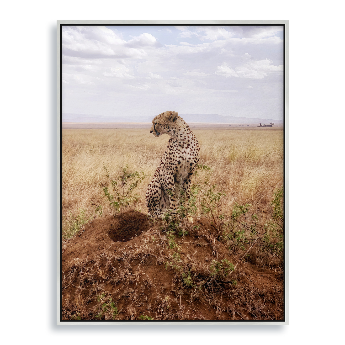 Cruel Suitor - Fine Art Print in Floating Frame