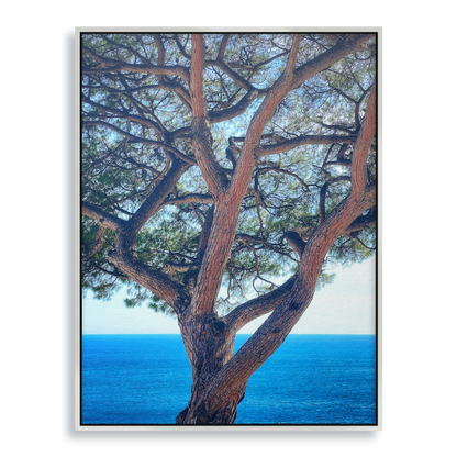 The Sentinel - Fine Art Print in Floating Frame