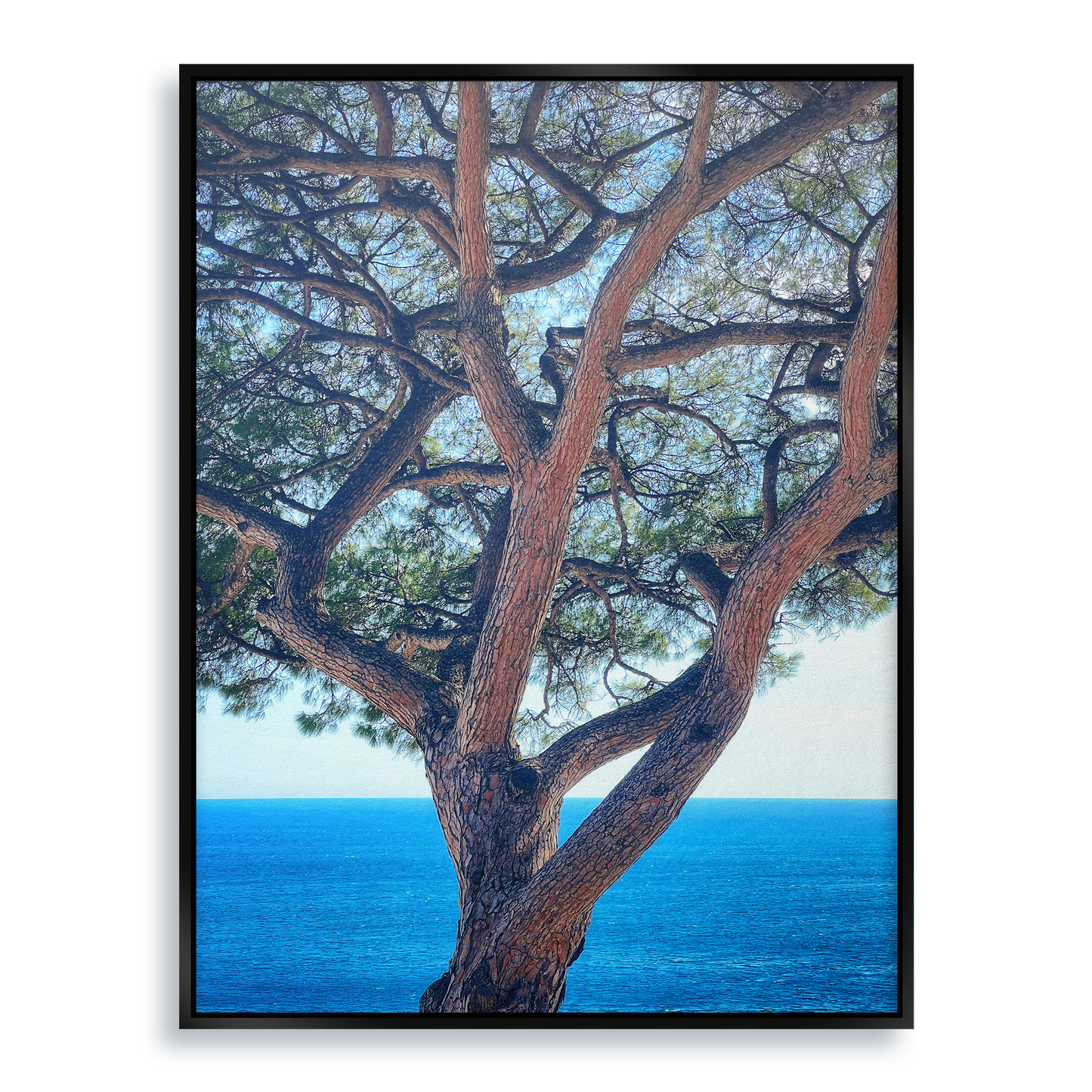 The Sentinel - Fine Art Print in Floating Frame