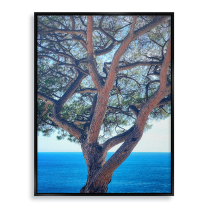 The Sentinel - Fine Art Print in Floating Frame