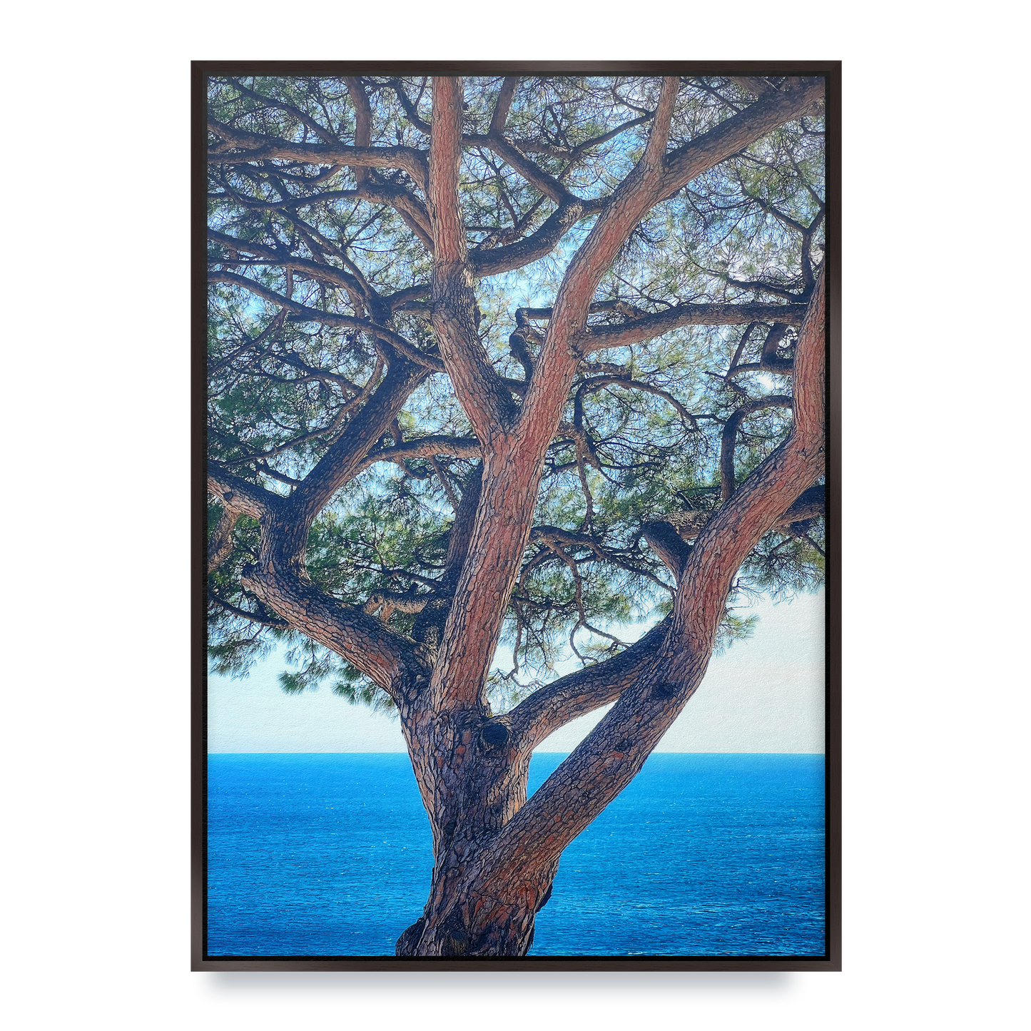 The Sentinel - Fine Art Print in Floating Frame