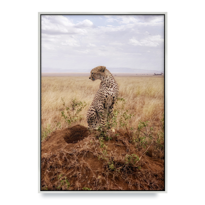 Cruel Suitor - Fine Art Print in Floating Frame