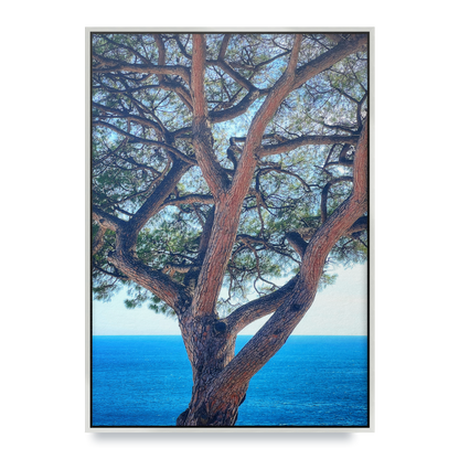 The Sentinel - Fine Art Print in Floating Frame