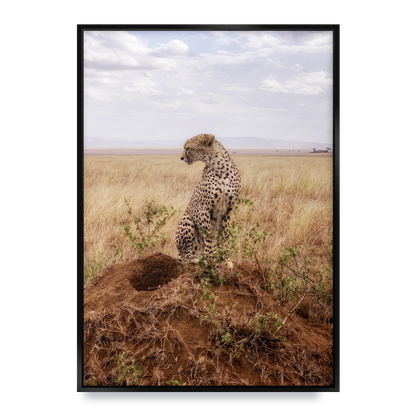 Cruel Suitor - Fine Art Print in Floating Frame