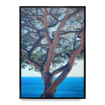 The Sentinel - Fine Art Print in Floating Frame