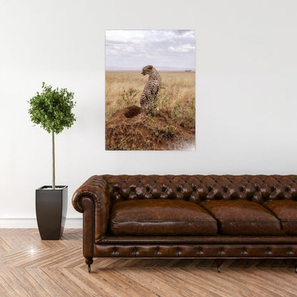 Cruel Suitor - Aluminium Dibond Print
