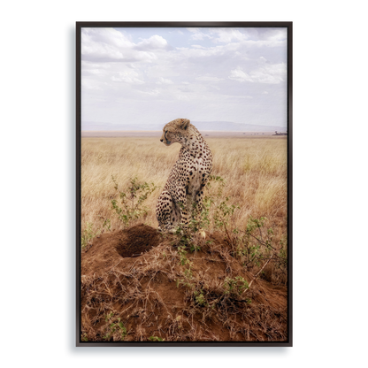 Cruel Suitor - Fine Art Print in Floating Frame