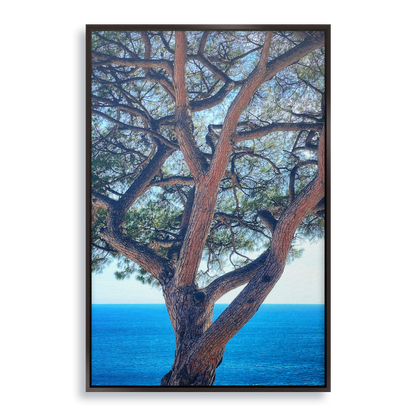 The Sentinel - Fine Art Print in Floating Frame