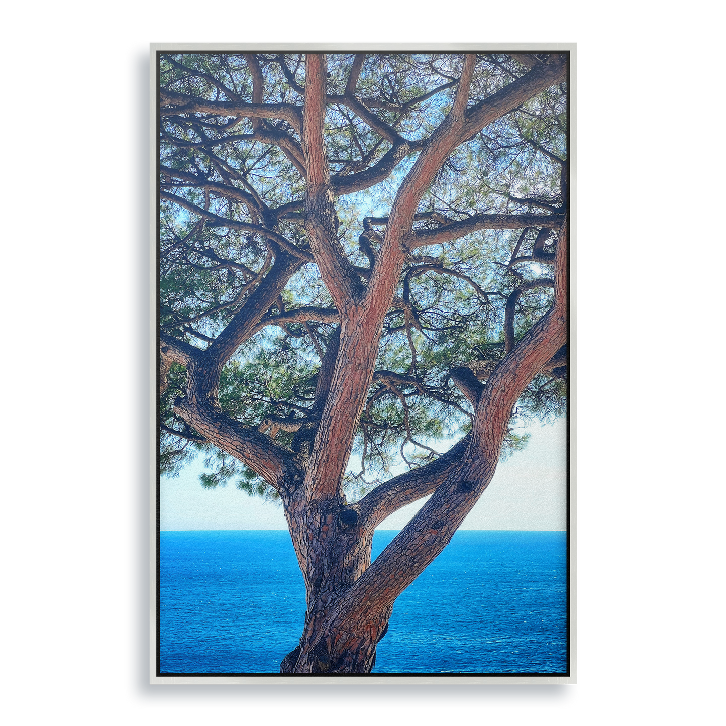 The Sentinel - Fine Art Print in Floating Frame