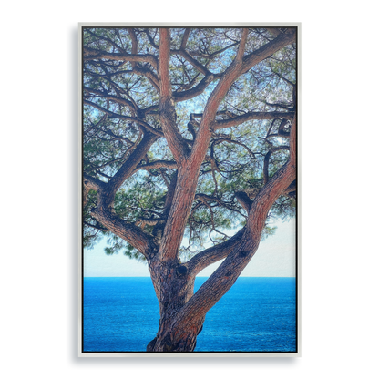 The Sentinel - Fine Art Print in Floating Frame