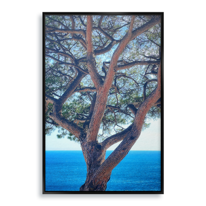 The Sentinel - Fine Art Print in Floating Frame